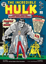 Bruce Banner // The Incredible Hulk [PROXY] (MSH)